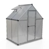 Palram 6 X 4ft Canopia Mythos Greenhouse - Silver