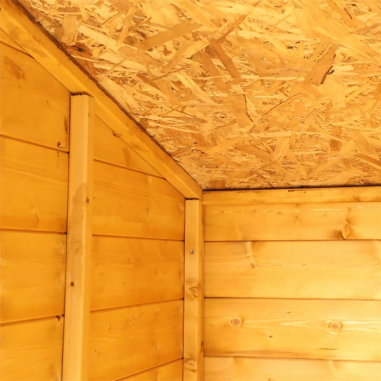 Mercia 12 X 4 Dog Kennel & Run (Installed) - Image 5