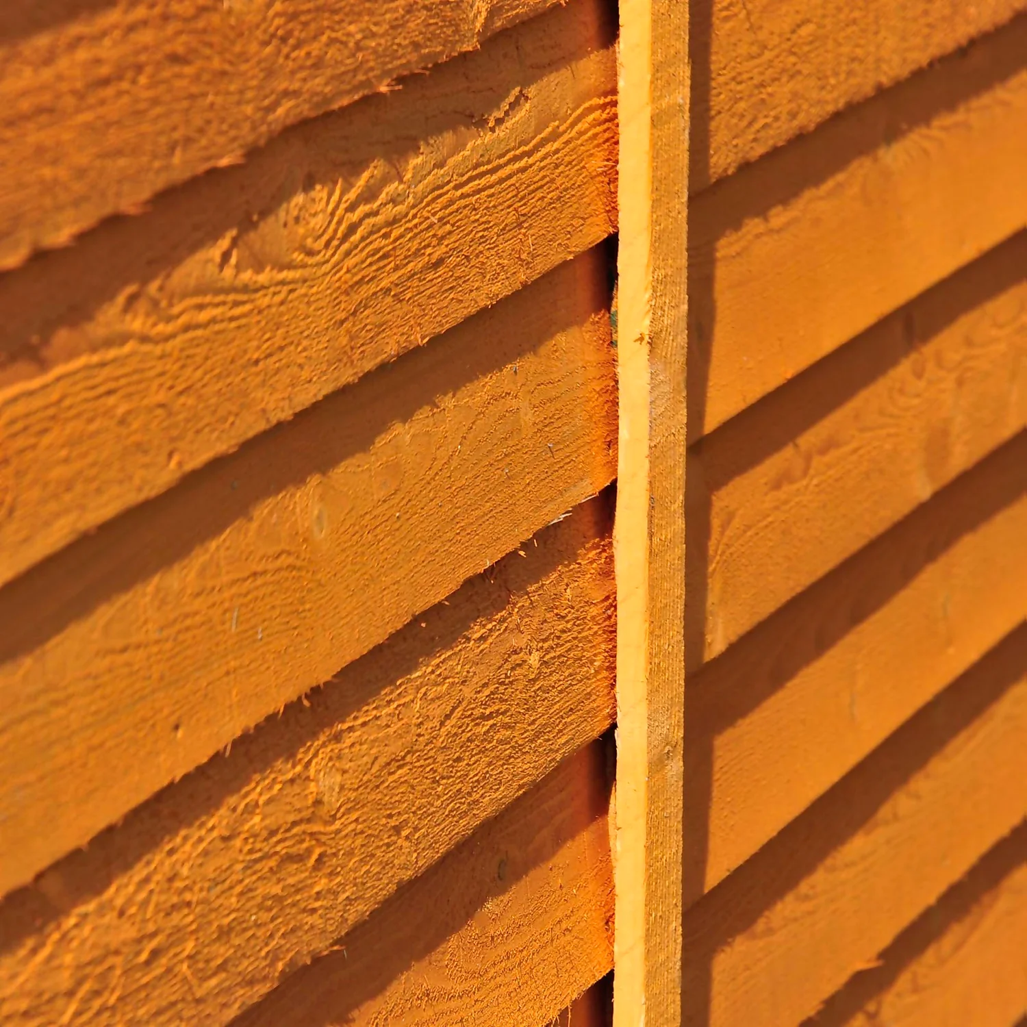 Shire 12 X 6ft Shed Overlap Double Door - No Windows - Image 7